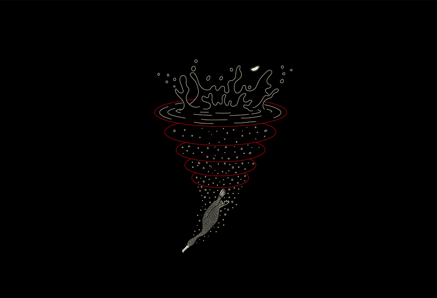 Image of a cormorant diving with emanating waves