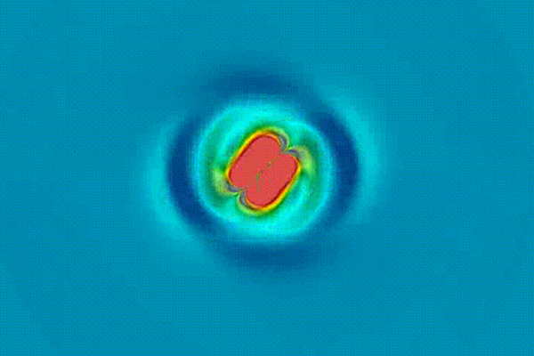 Black holes in a box