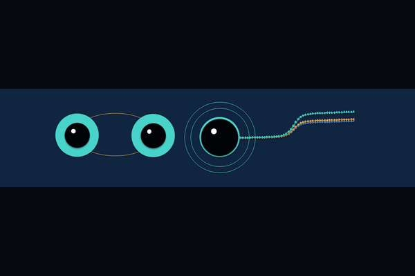 Artist’s impression of a compact-binary merger producing a gravitational-wave memory signal. In theories beyond general relativity, the reconfiguration of an additional gravitational field can generate an additional permanent imprint throug
