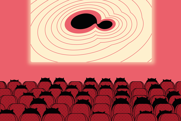 bh_week_movies
