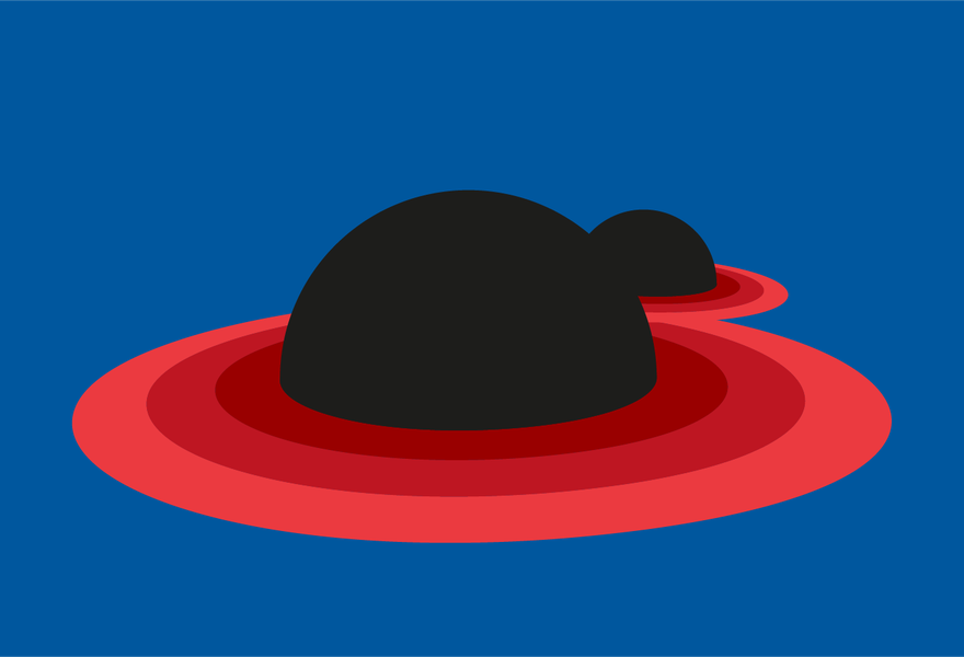 Black holes in environments
