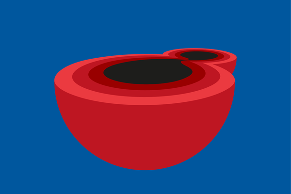 An illustration of the two-body problem in General Relativity