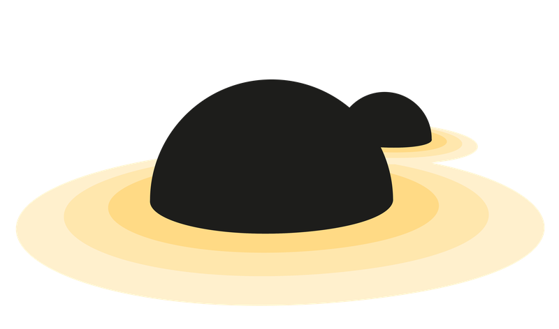 landing illustrations for the black hole week 2026
